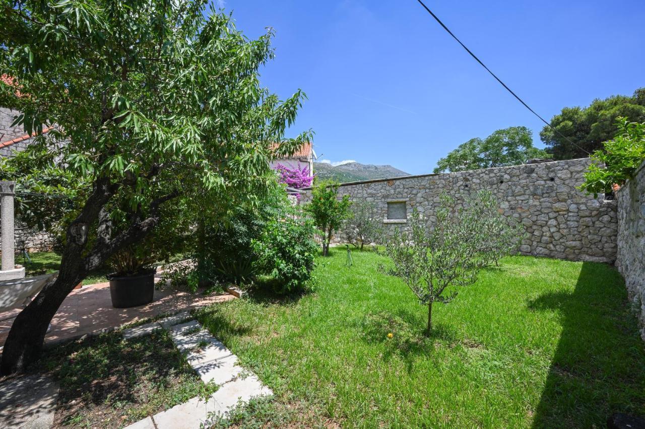 Apartamento La Rocca *